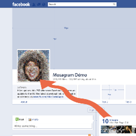 Votre mosaïque avec vos photos Facebook !